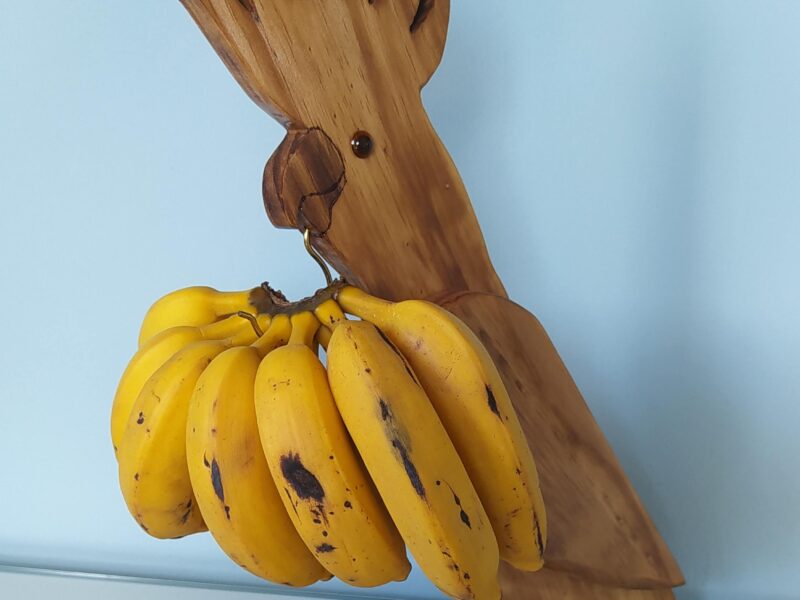 📢 Suporte para bananas Cacatua